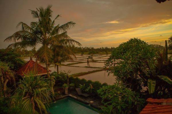 White House Hotel Ubud Eksteriør billede